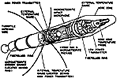 Line art, Explorer I